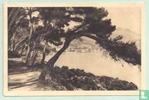 Cap Martin