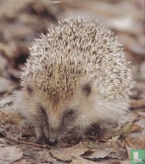 Egel