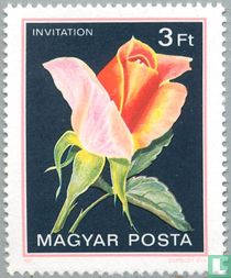 Invitation acheter