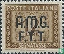 Italian postage due stamps with overprint AMG FTT