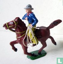 Cowboy auf Pferd mit lasso