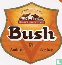 Bush Ambrée Amber