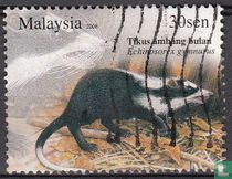 Moonrat