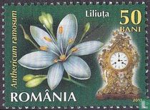 Flowers and Clocks