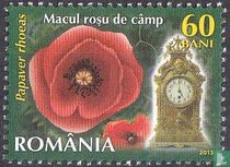 Flowers and Clocks