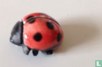 Coccinelle