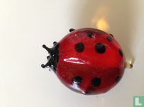 Lieveheersbeestje