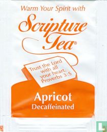 Apricot 