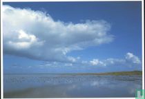 Vogelvrij / 2004