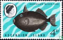 Poissons