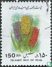 Jacinthes