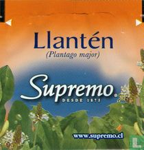 Llantén