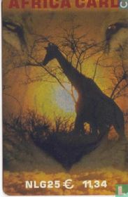 Africa card