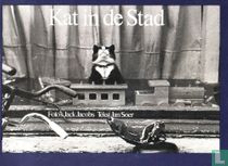 Kat in de stad