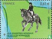 World Equestrian Championship