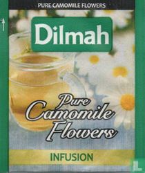 Pure Camomile Flowers