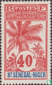 Palmboom