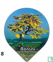Bonsai 
