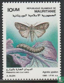 Insectes