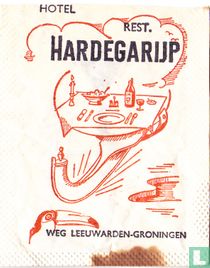 Hotel Rest. Hardegarijp  