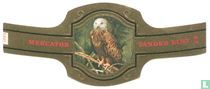 Vogels uit het natuurreservaat Het Zwin NF sigarenbandjes catalogus