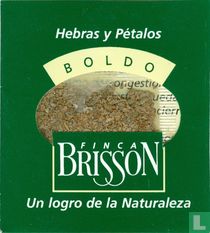 Boldo