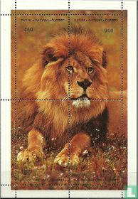 Lions