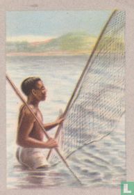 Baushi inboorling