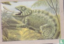 Kameleon