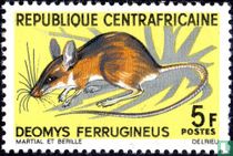 Rongeurs