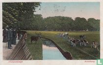 's-Gravenhage Hertenkamp 