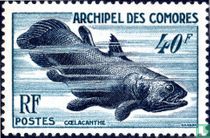 Gewone coelacant