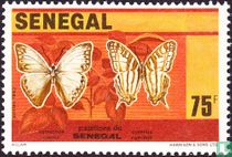 Papillons
