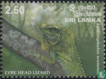 Reptiles