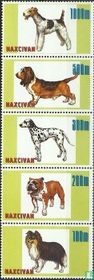 Chiens