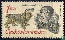 hunting dogs