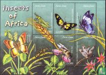 Insectes