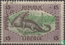 Crocodile