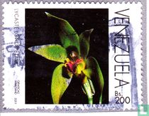 Orchids