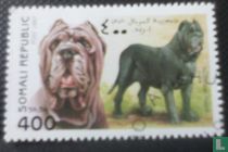 Chiens