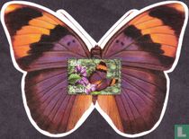 Moths