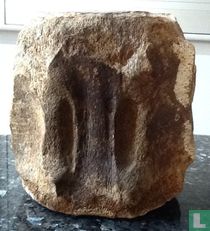 Fossiel lendenwervel vinvis