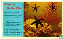 Legend of the Sea Stars