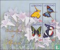 Butterflies               