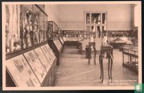 Museum - zaal der voortbrengselen