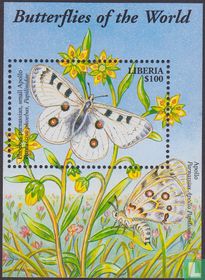 Butterflies            