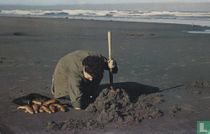 K-274 Clam Diggin Pacific Coast Beaches