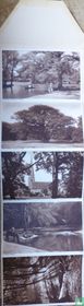 Epping Forest Lettercard postkaarten