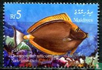 Fish for sale
