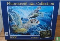 Dieren: Schildpadden